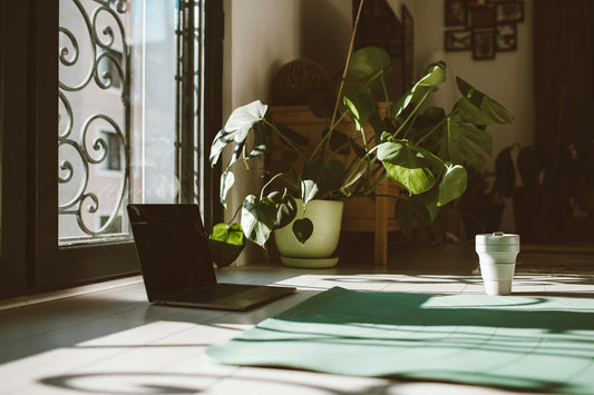 Unlocking Wellness and Wealth with Modern Feng Shui