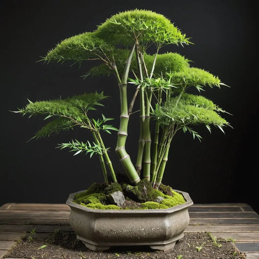 Bamboo Willow Bonsai Decor – Zen-Inspired Forest Table Accent